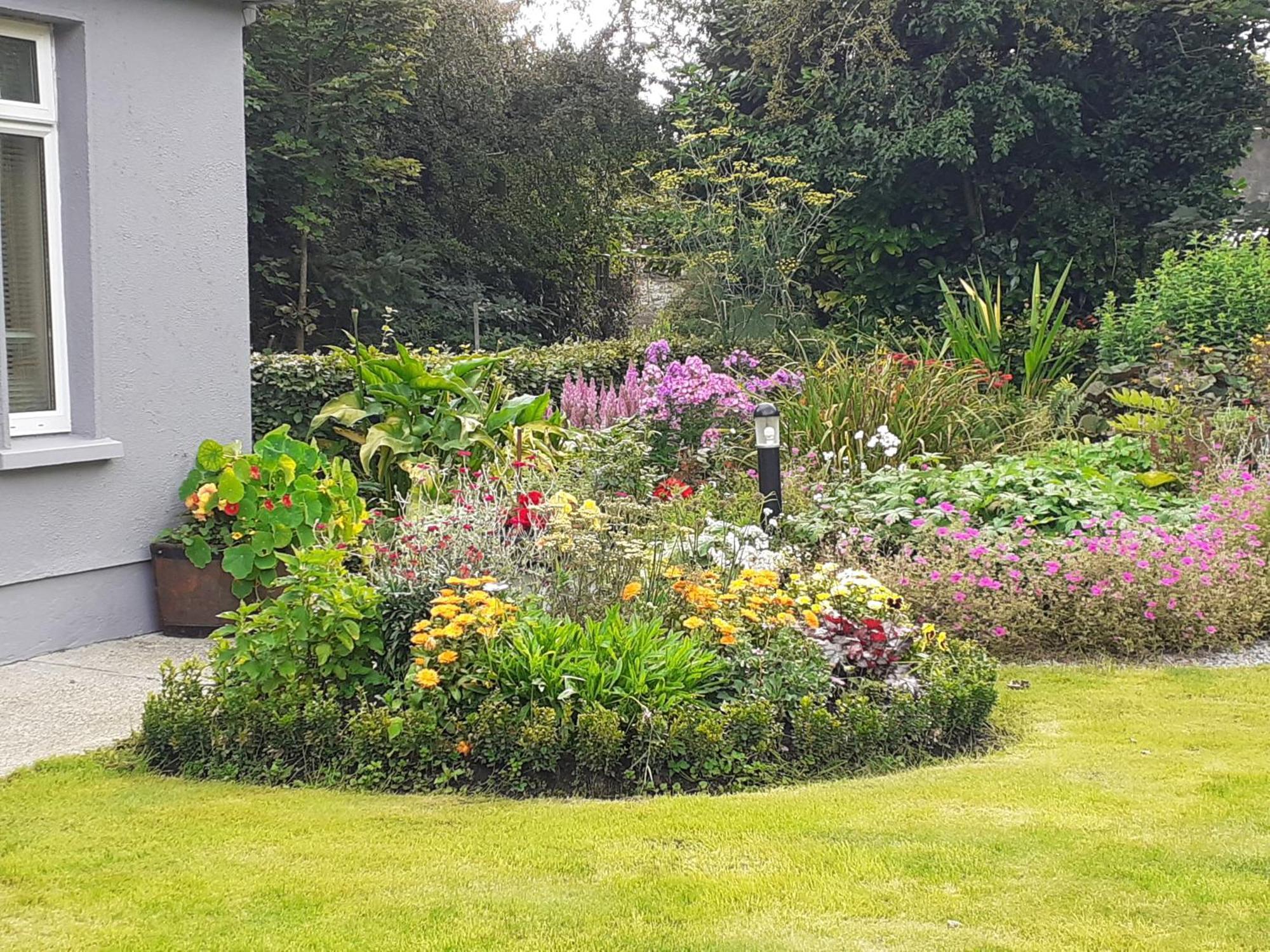 Conways B&B Claremorris Kültér fotó