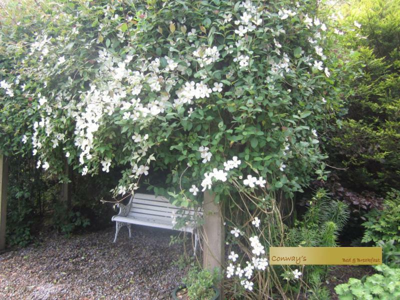 Conways B&B Claremorris Kültér fotó